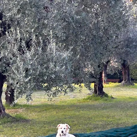 Hétvégi ház Punta Del Corno San Felice del Benaco